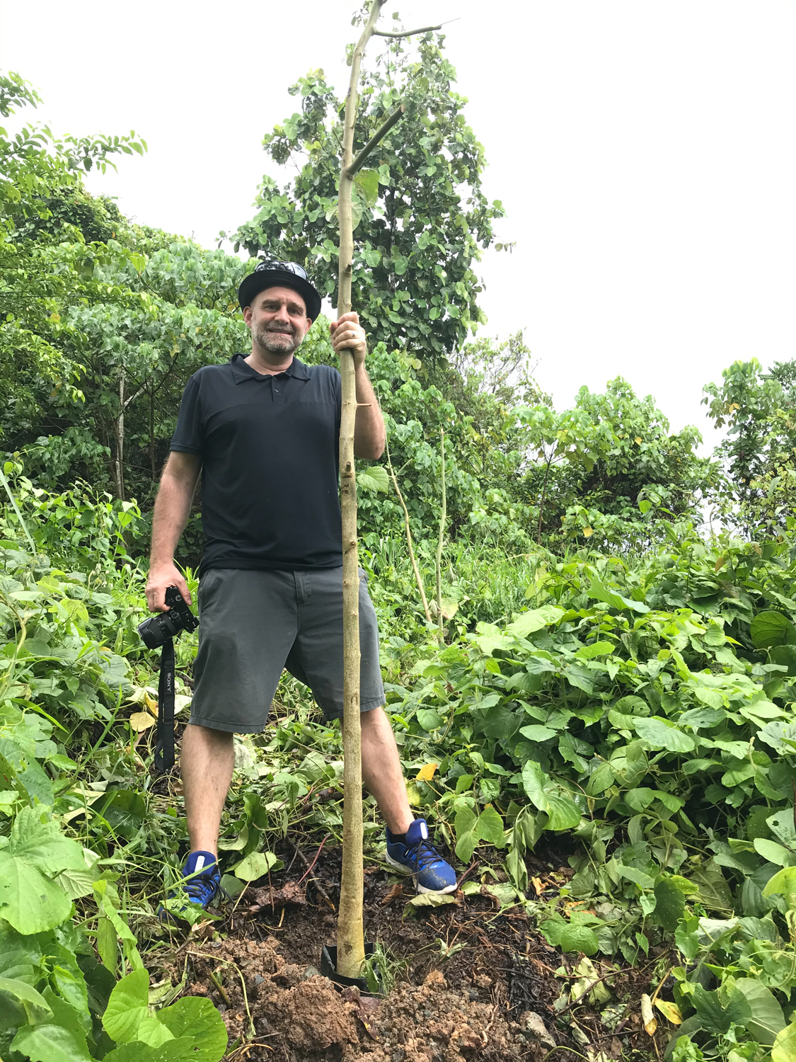 Bukit Piton tree planting